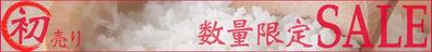 楽天Saleページ用バナー