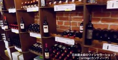 Cantina（カンティーナ）ワインセラー