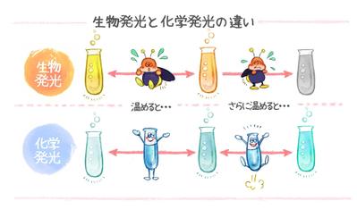 比較的挿絵の少ない表や図など