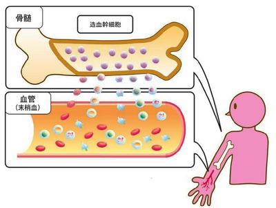 医療イラスト07