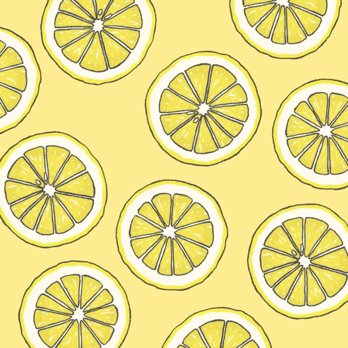 輪切りのレモンのイラスト ポートフォリオ詳細 Raddiey デザイナー クラウドソーシング ランサーズ