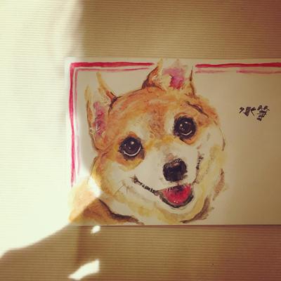 犬のイラスト2