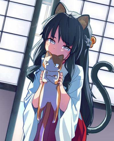 猫ちゃん