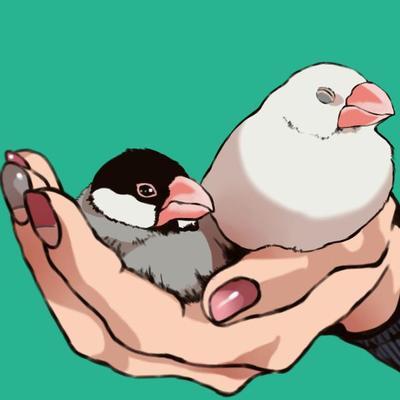 文鳥２匹と飼い主の手