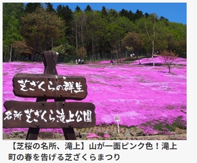 【芝桜の名所、滝上】山が一面ピンク色！滝上町の春を告げる芝ざくらまつり