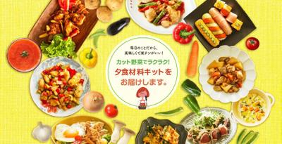 バナーデザイン（夕食材料宅配サービスのWebページメインビジュアル）