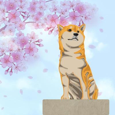 柴犬と桜