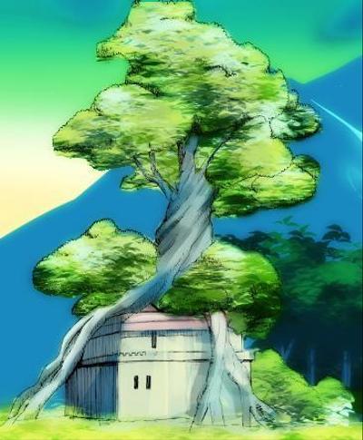 樹と家