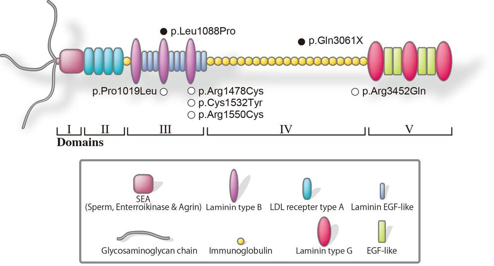 論文Fig.2