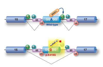 論文Fig.4