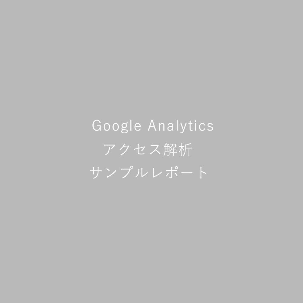 Google Analytics アクセス解析レポート