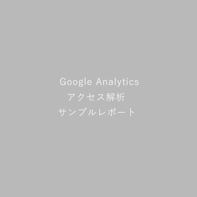 Google Analytics アクセス解析レポート