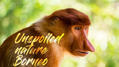 Unspoiled nature Borneo