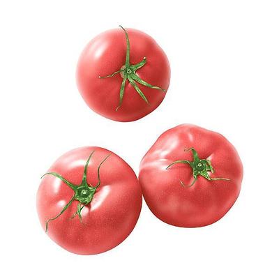 プレミアム「SALAD・サラド」トマト
