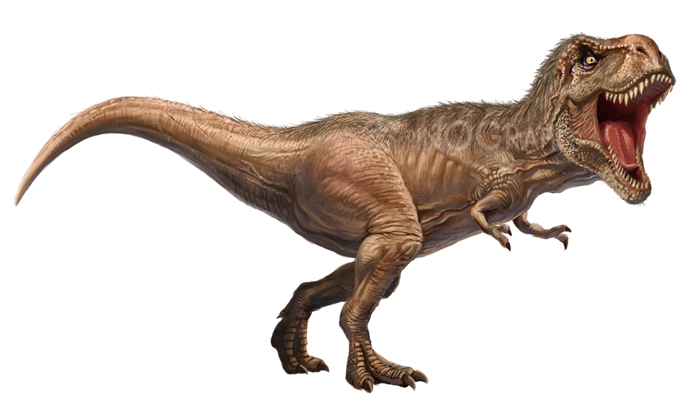 最高のコレクション ティラノサウルスイラスト 9726 ティラノサウルスイラスト簡単
