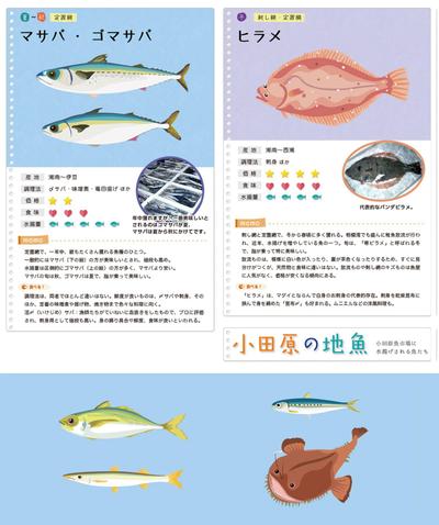 「小田原の魚」ウェブサイト用コンテンツ制作