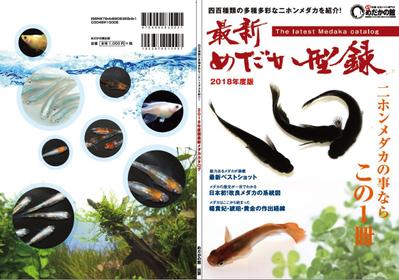 雑誌デザイン