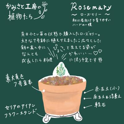 各種カード・POPデザイン