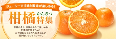 ANAの柑橘特集のメインビジュアル