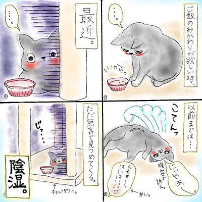 「猫飼いならきっと頷く、猫あるある漫画」