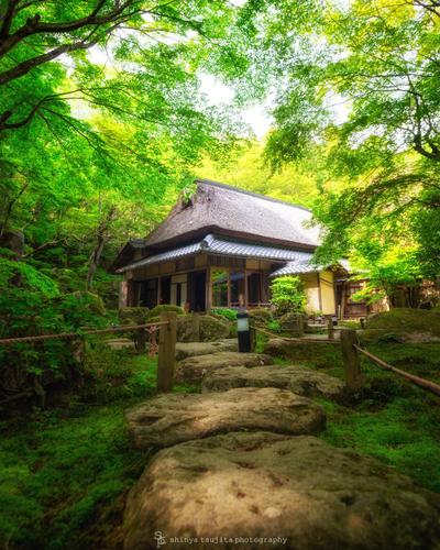 新緑の風景