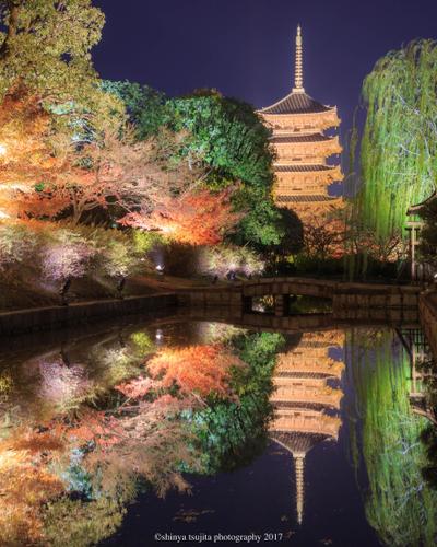 秋の東寺