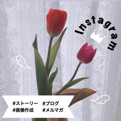 SNS代行