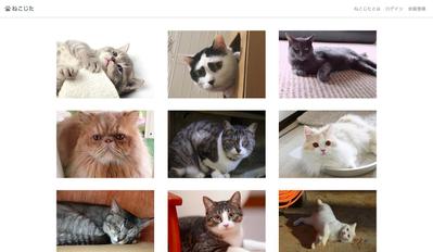 ねこじた