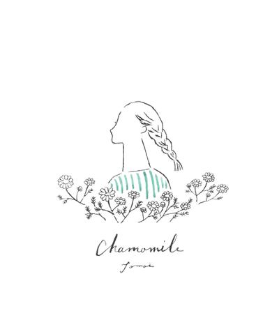 chamomile