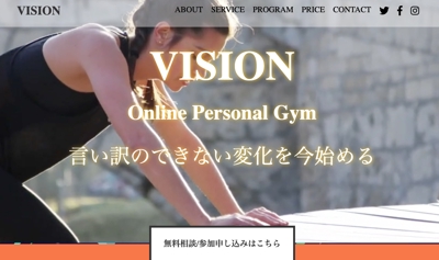 VISION Online Personal Gym