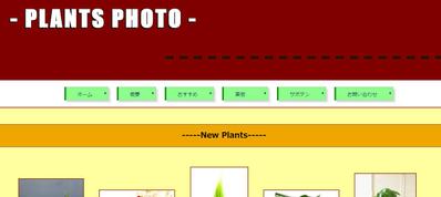 観葉植物の写真投稿サイトの表紙