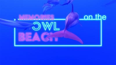 沖縄マリンショップ OWL のプロモーションムービー作成