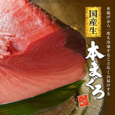 マグロのバナー