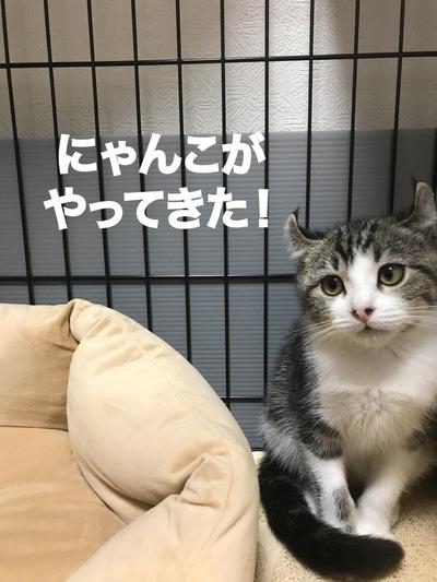 youtube動画のサムネイル