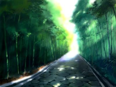 竹林道