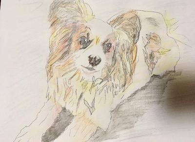イラスト集