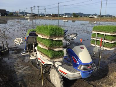 26歳の新規就農農家が目指す農家像【地域づくり×農業ライター 藤本一志の就農コラム 第1回】ました