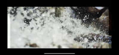 動画編集の製作作品公開