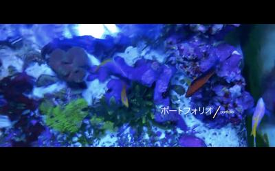 ポートフォリオ自己紹介