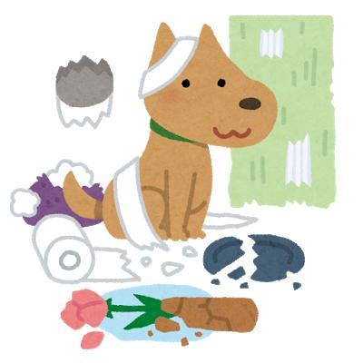 ペット（犬・猫・小動物）の記事執筆