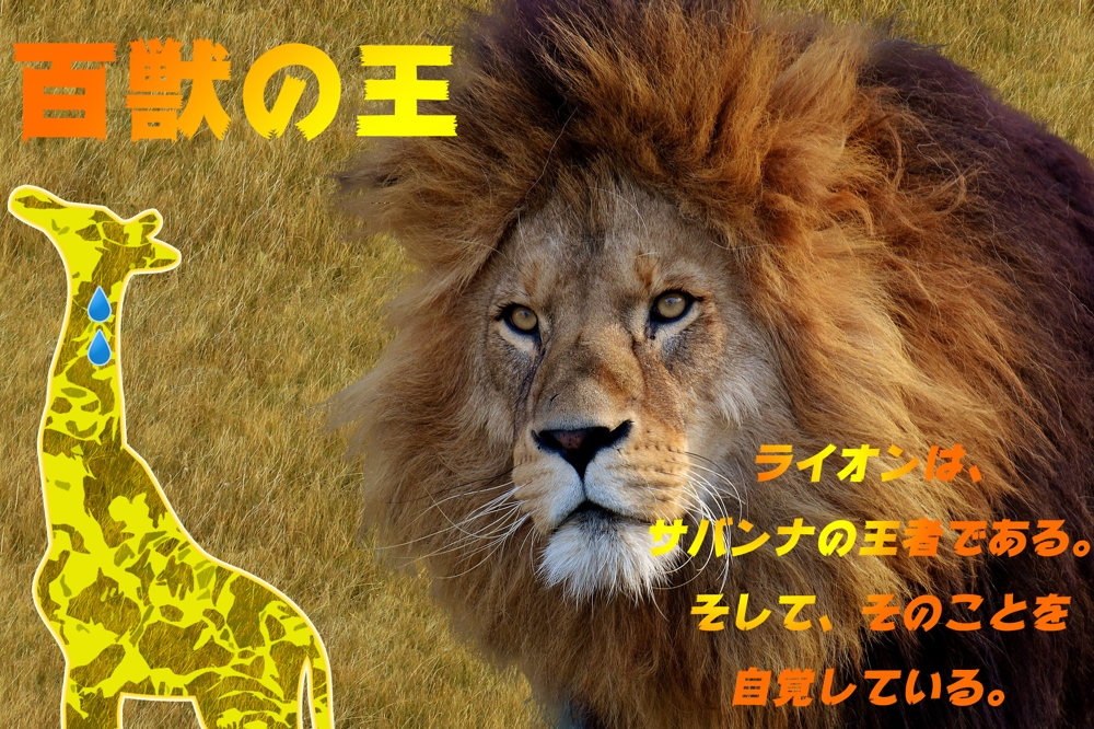 動物シリーズ01ライオンとキリン