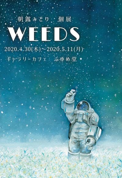 2020年　個展『WEEDS』