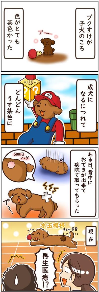 トイプードル４コマ漫画　サンプル②