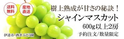 シャインマスカットの商品バナー