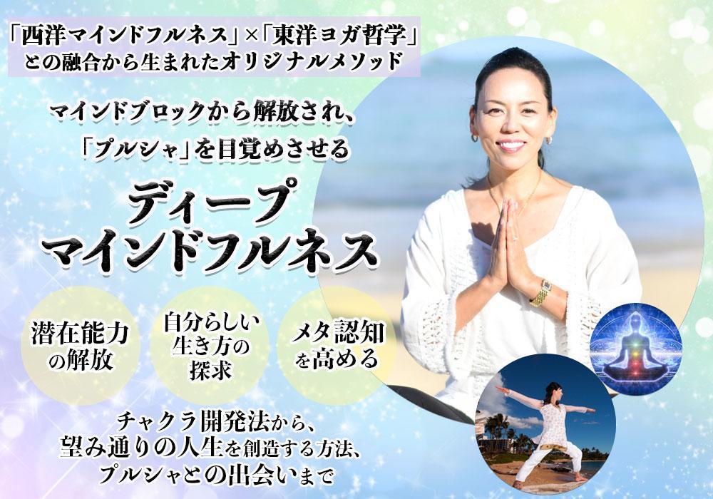 LPヘッダー