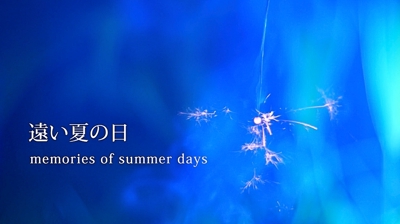 ミュージックビデオ　　ninni「遠い夏の日」
