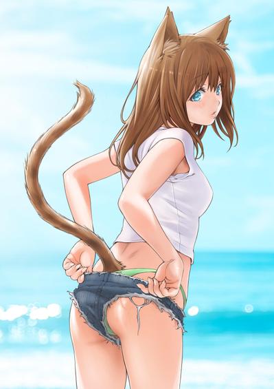 猫と夏のイラスト