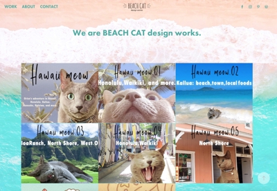 BEACH CAT オフィシャルサイト