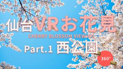 360度VRお花見動画の制作