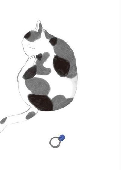 小説の挿絵